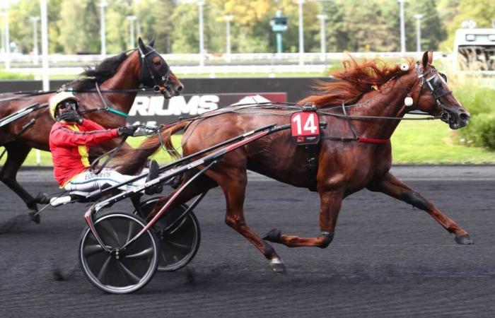 Prix ​​de Bretagne Q1: cosa rivela il passato