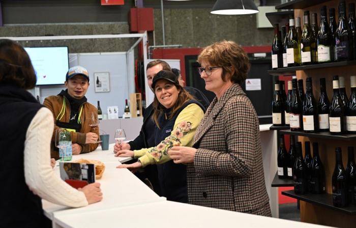 Vini della Borgogna: benvenuti nel regno delle degustazioni di piacere a Beaune