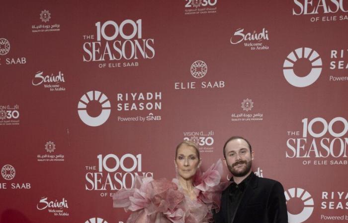 Celine Dion, magica e raggiante ricomparsa alla sfilata di Elie Saab