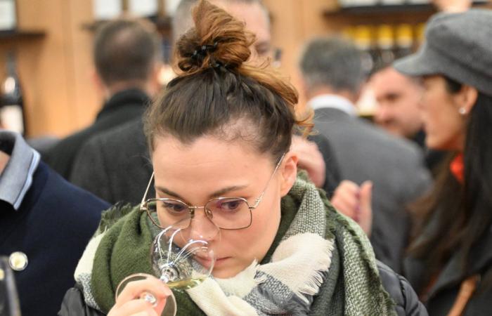 Vini della Borgogna: benvenuti nel regno delle degustazioni di piacere a Beaune