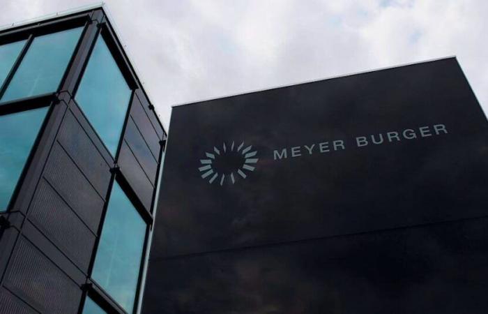 Gruppo fotovoltaico: Meyer Burger rischia la fine