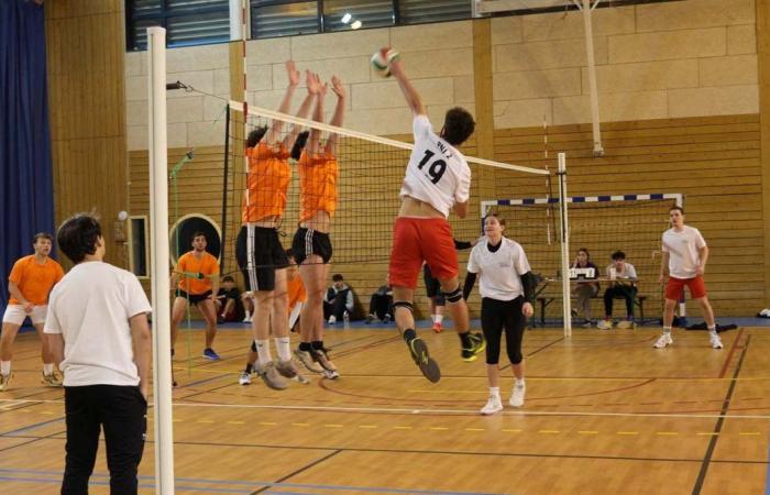 Sport Universitario: 3 medaglie d'oro nel Basket, Calcio e Pallamano per gli studenti del Le Creusot