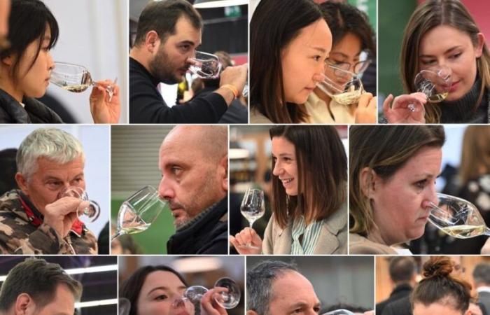 Vini della Borgogna: benvenuti nel regno delle degustazioni di piacere a Beaune