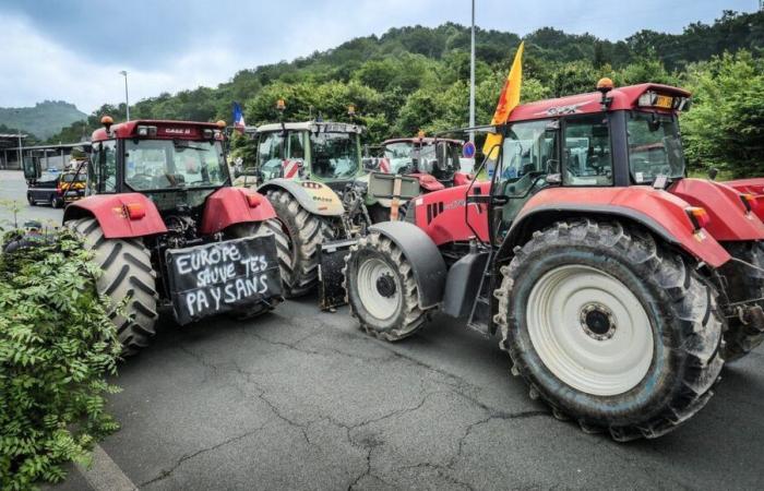 Crisi agricola: testimonianze condivise di agricoltori e apicoltori del Nord