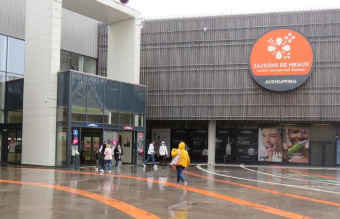 In questo centro commerciale della Seine-et-Marne stanno aprendo diversi nuovi negozi