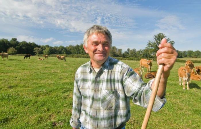 Diverse offerte di acquisizione di aziende agricole proposte dalla Camera dell'Agricoltura della Dordogna.