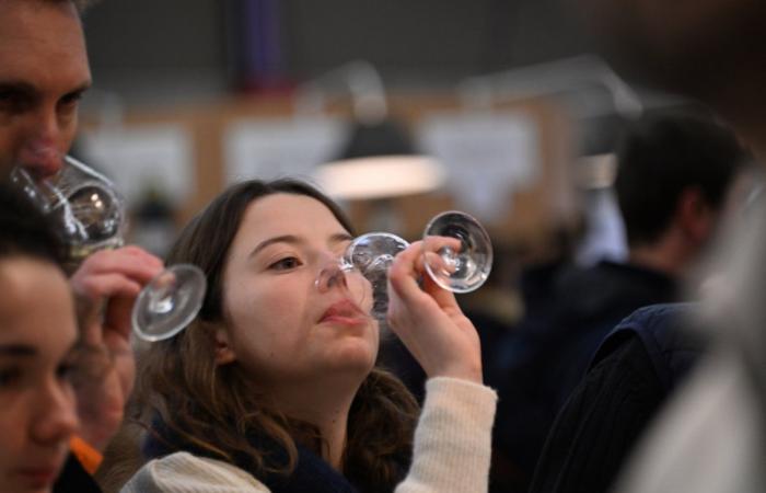 Vini della Borgogna: benvenuti nel regno delle degustazioni di piacere a Beaune