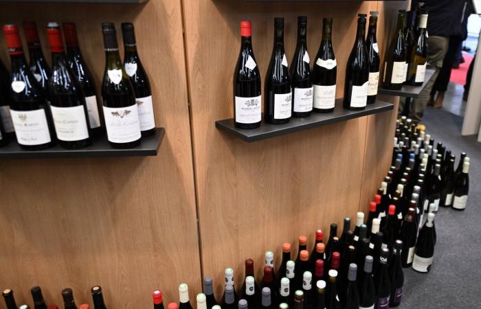 Vini della Borgogna: benvenuti nel regno delle degustazioni di piacere a Beaune