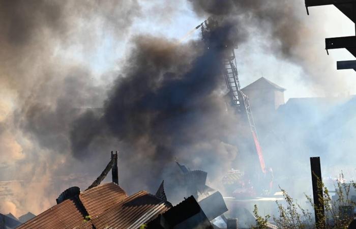 “Una parte dell’economia locale è andata in fumo”: la segheria di Meuzac, nell’Haute-Vienne, distrutta da un incendio