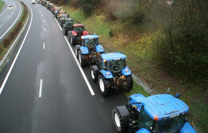 Gli agricoltori della FDSEA annunciano i blocchi per sottolineare la loro opposizione al Mercosur