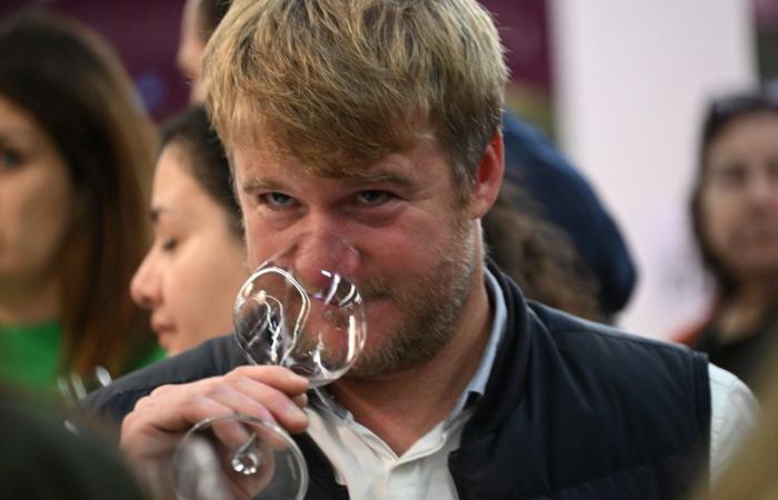 Vini della Borgogna: benvenuti nel regno delle degustazioni di piacere a Beaune