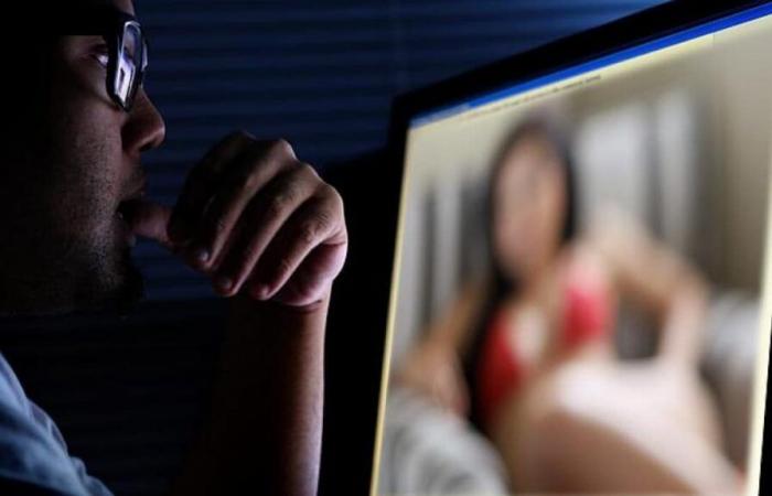 Perché alcuni siti pornografici non sono più accessibili dalla Francia