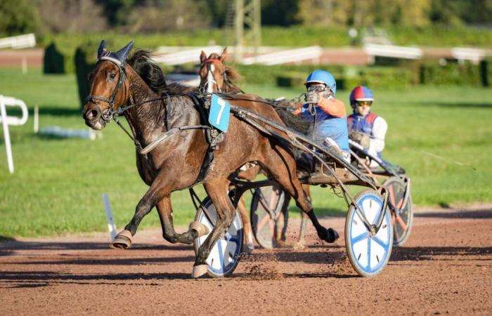 \”Emeraude de Bais ha il diritto di qualificarsi\”