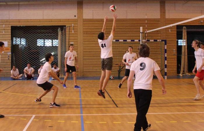 Sport Universitario: 3 medaglie d'oro nel Basket, Calcio e Pallamano per gli studenti del Le Creusot