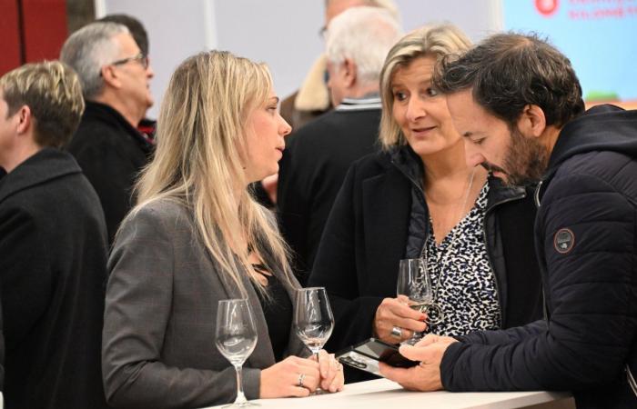 Vini della Borgogna: benvenuti nel regno delle degustazioni di piacere a Beaune