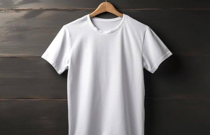 Viene dal Puy-de-Dôme la prima t-shirt realizzata con poliestere riciclato dai tessuti