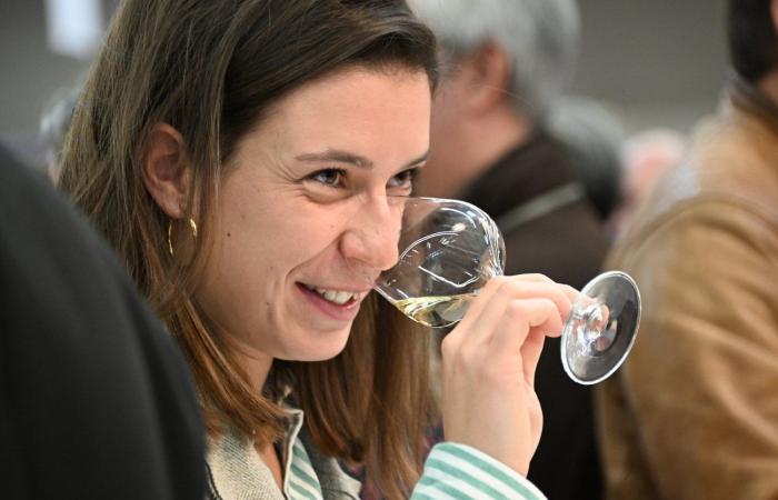 Vini della Borgogna: benvenuti nel regno delle degustazioni di piacere a Beaune