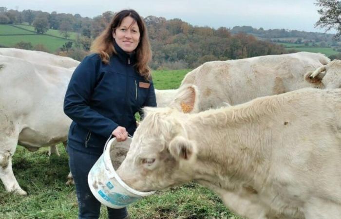 La rabbia degli agricoltori: “I politici devono davvero agire” avverte un allevatore della Creuse