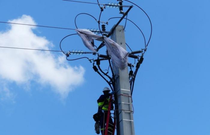 Nel mese di ottobre i prezzi sono aumentati dello 0,7% a causa delle tariffe elettriche