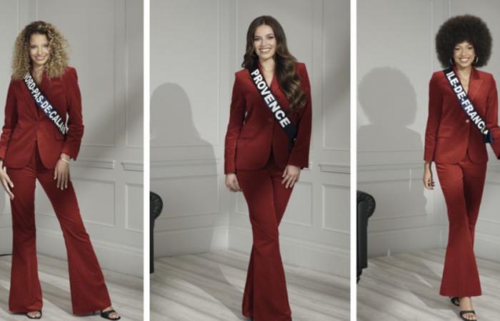 Miss Francia 2025: Ecco le foto ufficiali delle 30 Miss regionali, un nuovo dettaglio è evidente!