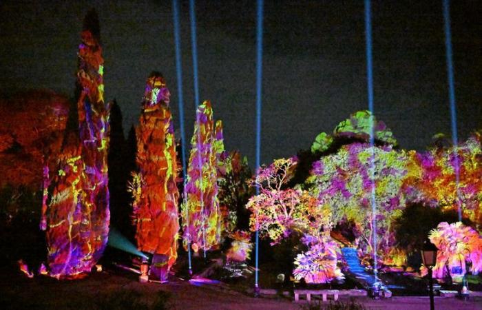 Cuore della città illuminato 2024: scopri le nostre cinque luminarie preferite a Montpellier