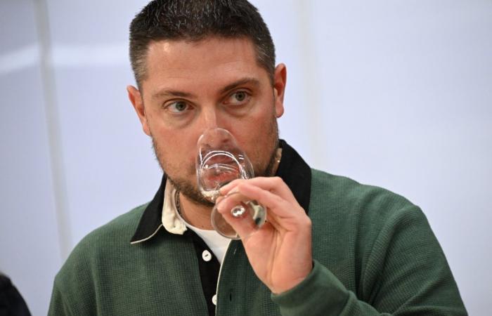 Vini della Borgogna: benvenuti nel regno delle degustazioni di piacere a Beaune