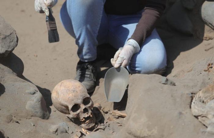 Decine di corpi di bambini trovati nel luogo di sepoltura pre-Inca furono sacrificati per ragioni terrificanti