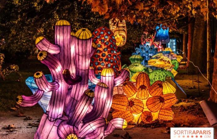 Giurassico in fase di illuminazione: il festival delle luci 2024-2025 al Jardin des Plantes – foto