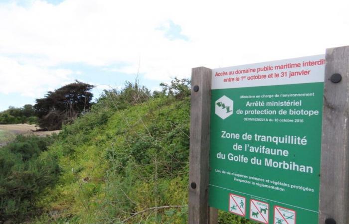 Vicino a Vannes, questo piccolo angolo di paradiso è accessibile solo con la bassa marea