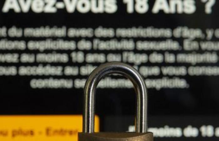 Quattro siti pornografici sono bloccati in Francia perché non verificano l'età dei loro utenti