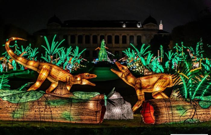 Giurassico in fase di illuminazione: il festival delle luci 2024-2025 al Jardin des Plantes – foto