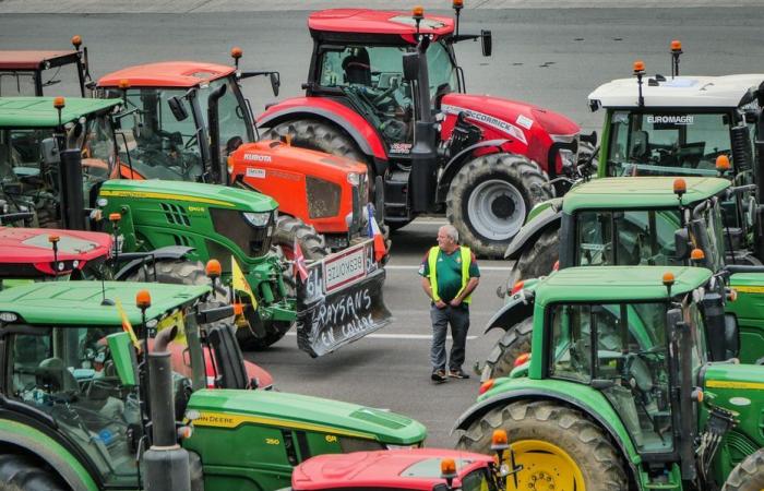 Sostenere l’agricoltura francese, sì, ma a quale costo?