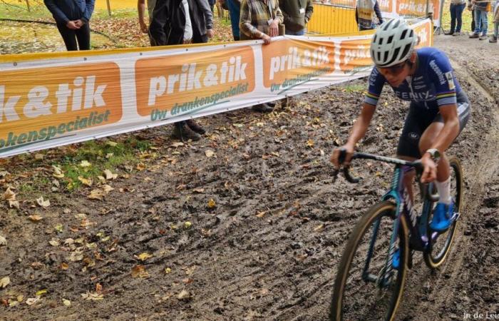 Il grande gruppo colora il Superprestige Merksplas, ma Alvarado rimane calmo e accelera verso la vittoria in un momento intelligente