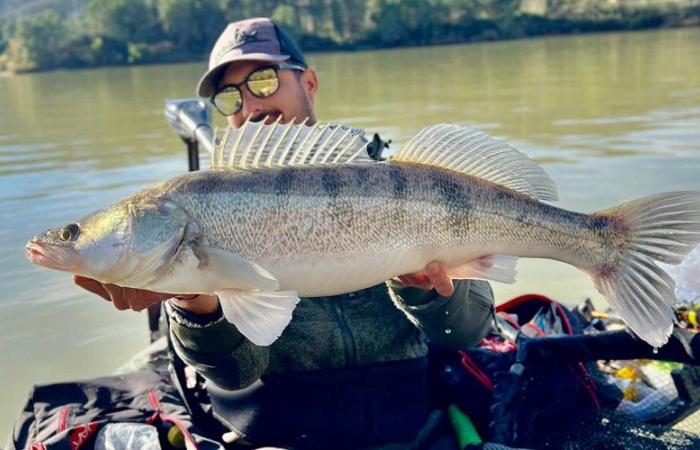 Cos’è questo pesce che peschiamo in autunno sui fiumi dell’Aude?