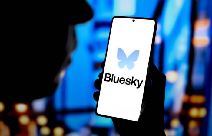 Dopo l’elezione di Trump, il social network Bluesky guadagna un milione di utenti in 24 ore