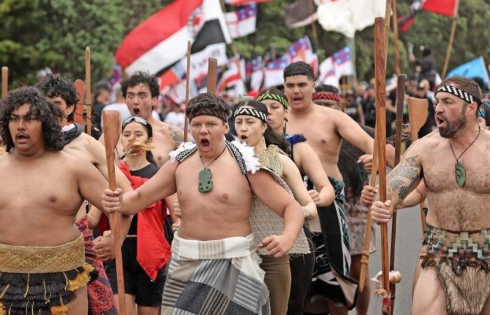 La protesta Haka nel Parlamento neozelandese diventa virale