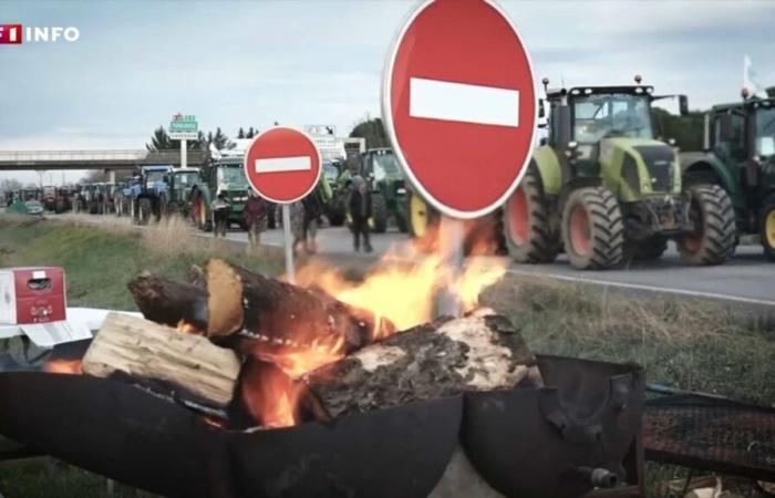 Agricoltori arrabbiati: una nuova mobilitazione prevista per questo lunedì in Francia