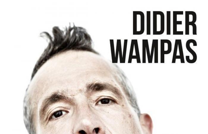 Il cantante e musicista Didier Wampas parla di soldi nel suo libro di memorie, “Worker Punk”