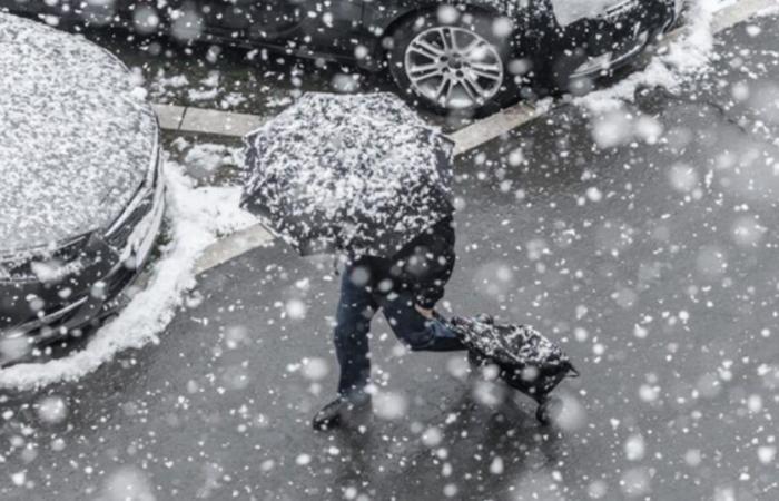 Neve, pioggia, vento forte: i dettagli quotidiani dell'agitazione