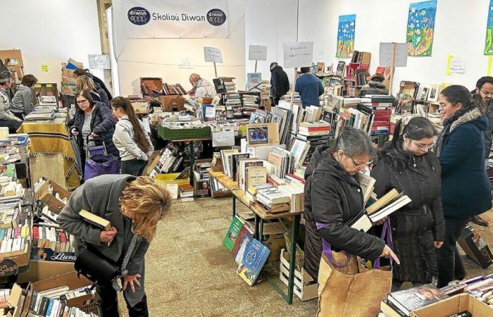 A Guingamp, la fiera del libro scolastico Diwan “inizia molto bene”