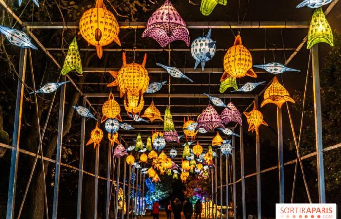 Giurassico in fase di illuminazione: il festival delle luci 2024-2025 al Jardin des Plantes – foto