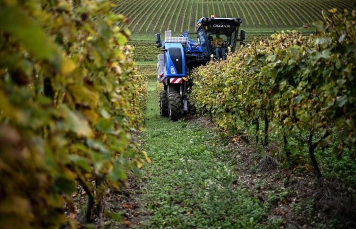 “È imperativo che gli aiuti siano destinati alle pratiche agricole che rispettano l’ambiente e la salute umana”