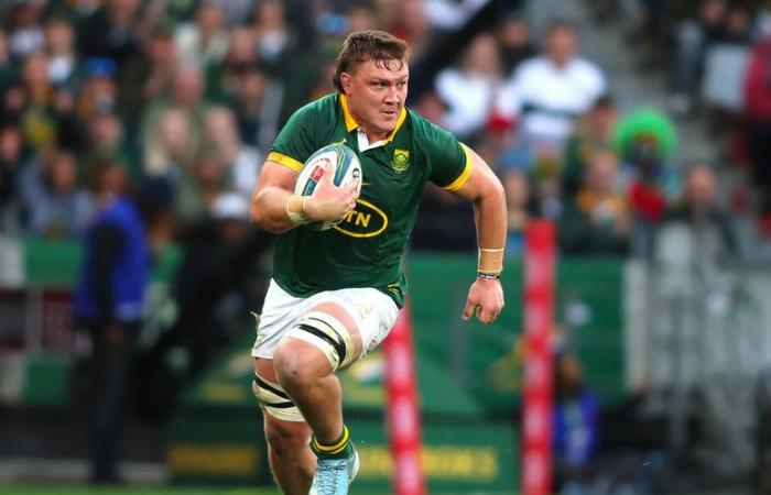 Tour autunnale 2024 – Note Inghilterra-Sudafrica: Wiese ed Etzebeth dettano legge, l'incubo di Steward