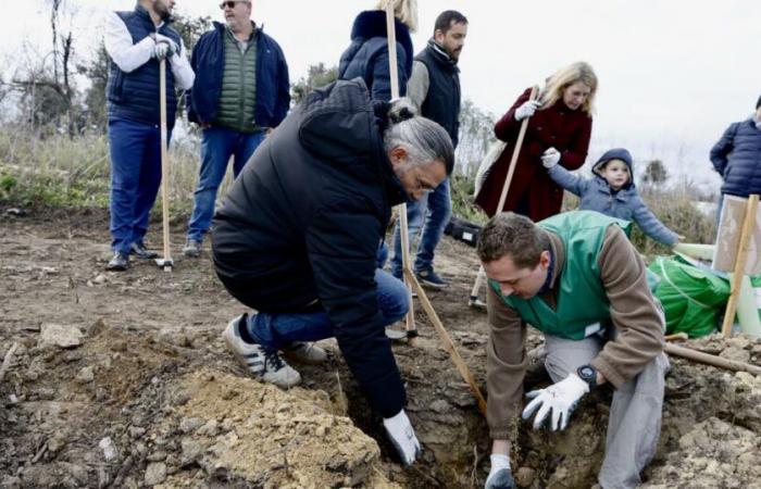 Bocche del Rodano. Glenn Viel, chef tre stelle, si impegna sulla Montagnette devastata da un incendio