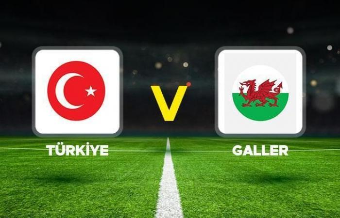 Commento dal vivo | Türkiye Galles (partita della Nations League)