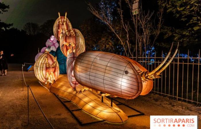 Giurassico in fase di illuminazione: il festival delle luci 2024-2025 al Jardin des Plantes – foto