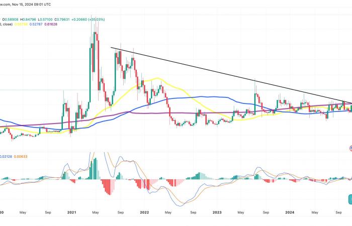 XRP sovraperforma il mercato delle criptovalute con un incremento del 17%: cosa sta guidando il rally?