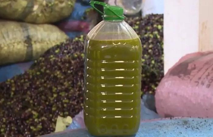 Il prezzo dell’olio d’oliva in Marocco raggiunge nuovi livelli