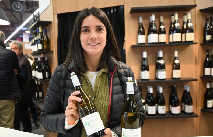 Borgogna: non devi pagare molto per avere dei buoni vini