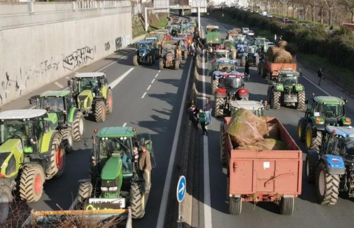 cartelli comunali abbattuti per essere posti ai piedi dei deputati a Lione